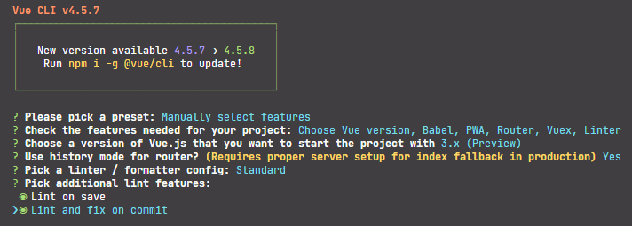 Sélection de formattage au commit avec @vue/cli
